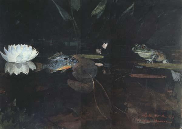 Winslow Homer The Mink Pond (mk44)